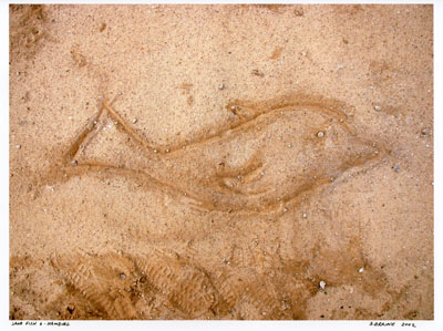 72 400 Sand Fish 006-b.jpg