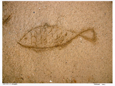 72 400 Sand Fish 005-b.jpg