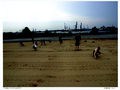 72 700 Hamburg Sand Imaging Group 001-b.jpg