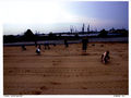 72 500 Hamburg Sand Imaging Group 001-b.jpg